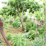 בית הארחה House Krk