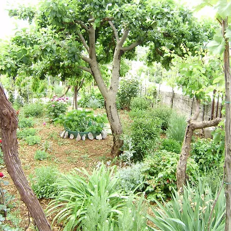 Guest house House Krk