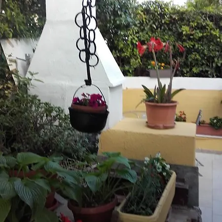 House Krk 3*