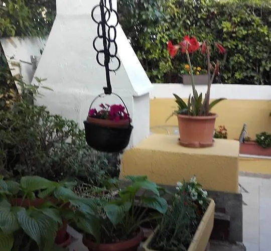 House Krk 3*